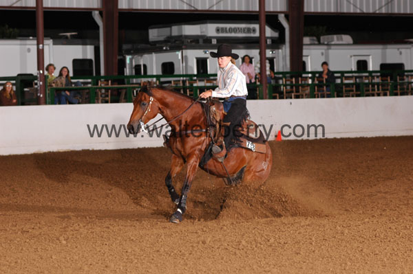 753 BC08p12A.3 - 029