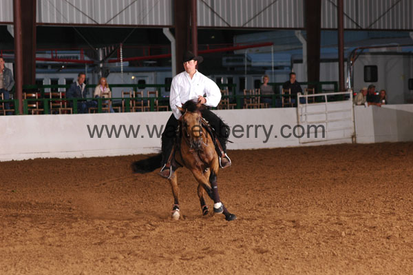 778 BC08p12A.2 - 078