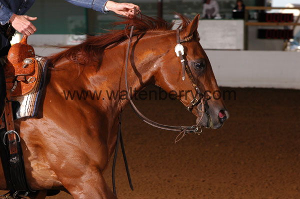 779 BC08p14B.1 - 074