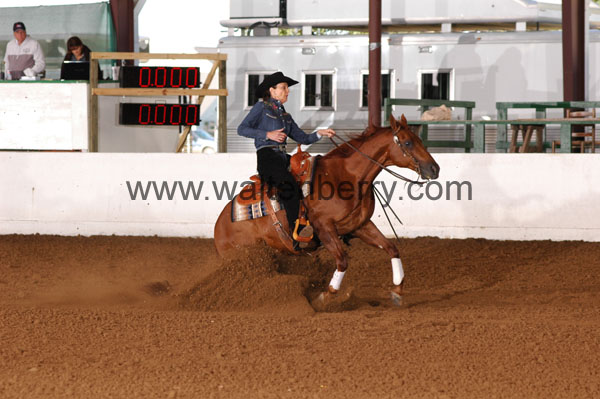 779 BC08p14B.1 - 075