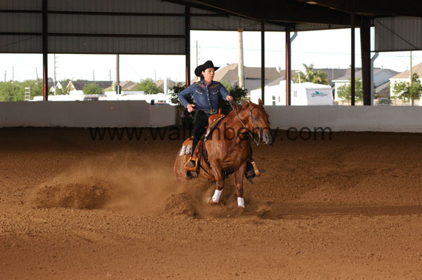 779 BC08p14B.1 - 076