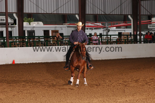 780 BC08p12A.1 - 169