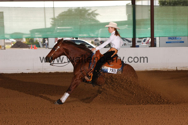 783 BC08p12A.1 - 019