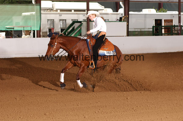 783 BC08p12A.1 - 020