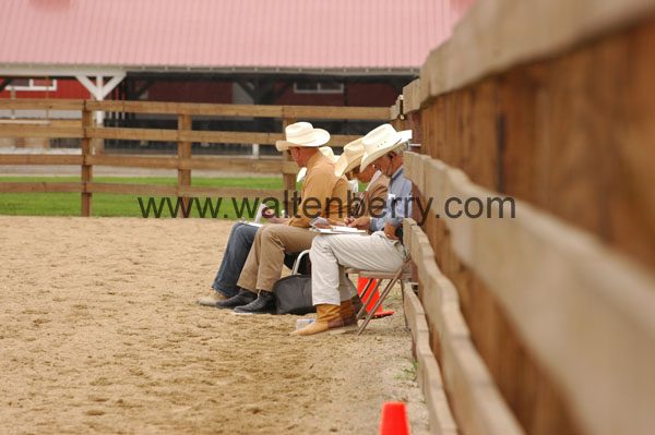 judges BQ07p2- 049
