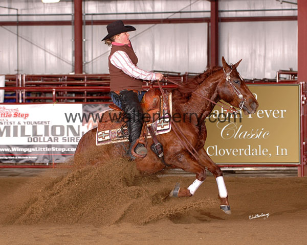 261 CF09p14A- 169 whitney