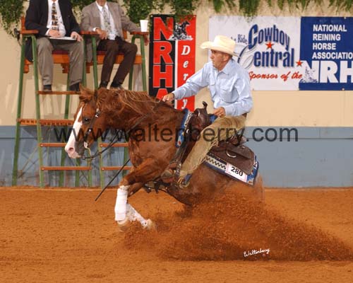 280 DB05p1B.3- 099 horn