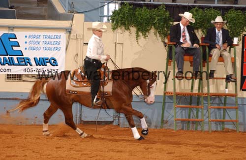 653 DB05p3A.1-203.jpg