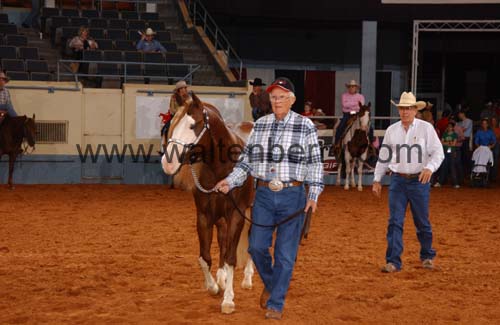 reimer DB05p1F.1- 191