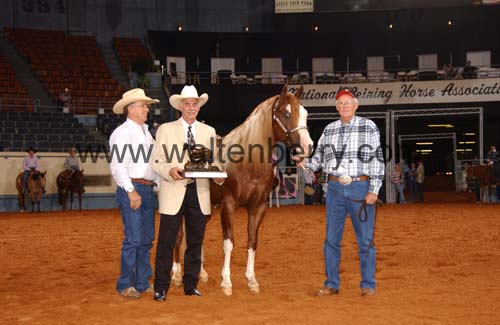 reimer DB05p1F.1- 193