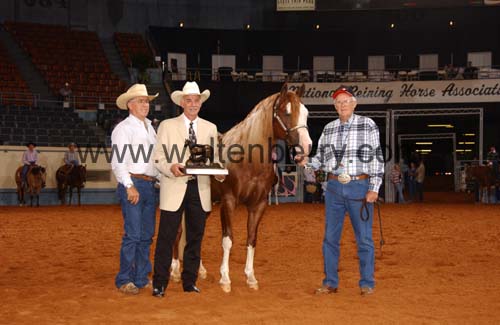 reimer DB05p1F.1- 194