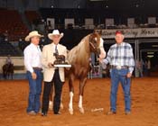 reimer DB05p1F.1- 193a