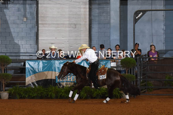 137 DB18p2F,3-096