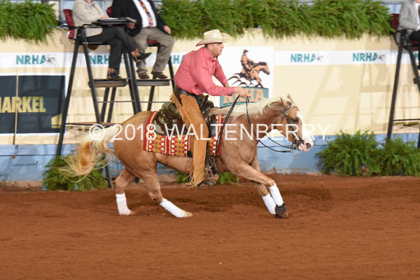 225 DB18p2F,1-077