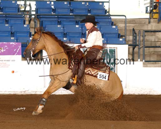 554 FP05p17 076a 300dpi