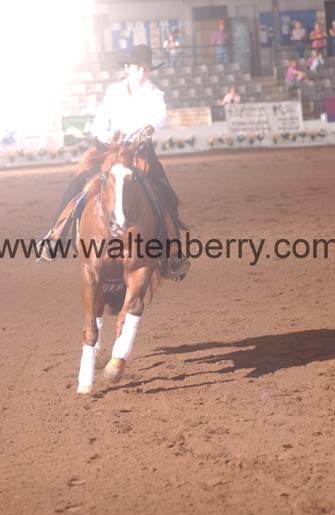 Sally FP05p hunter.2- 028