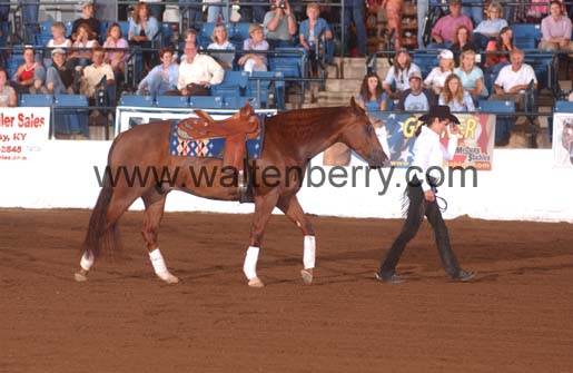 Sally FP05p hunter.2- 034