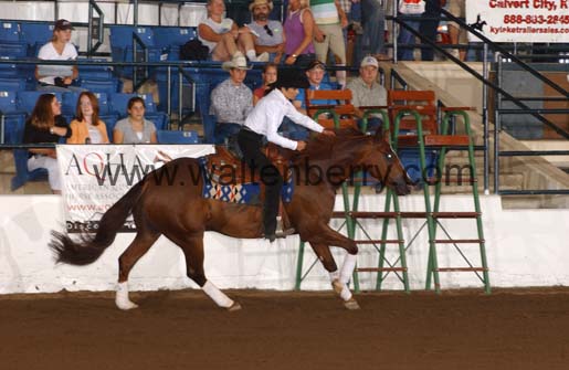 Sally FP05p11.1- 004