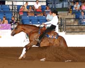 Sally FP05p11.1- 005 bridleless