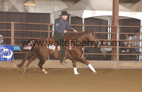 135 GV05p1.2- 100
