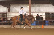 568 GV05p19B- 030
