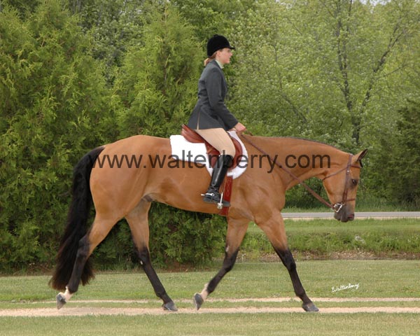 L IHR09- 130 eng trot