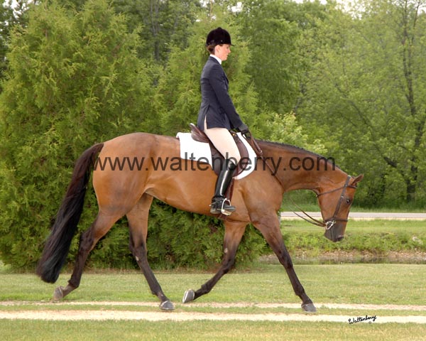 k IHR09- 148 eng trot