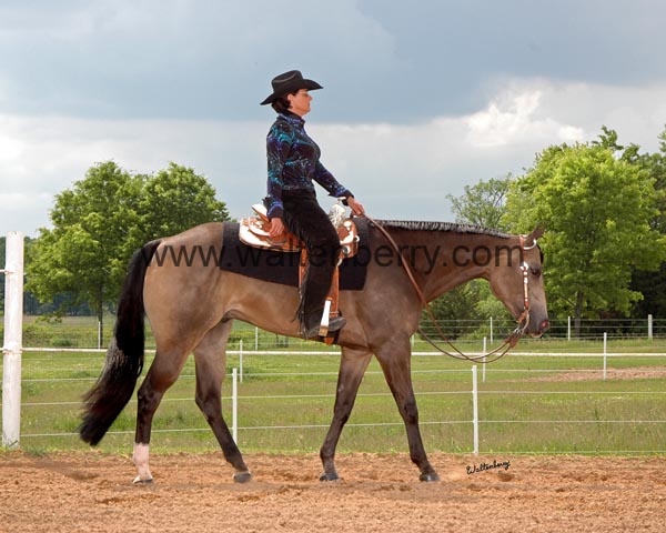 k IHR09- 167 western