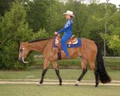 L IHR09- 154 west trot