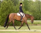 k IHR09- 148 eng trot