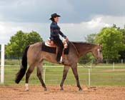 k IHR09- 167 western