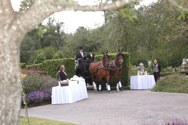wedding.1- 194