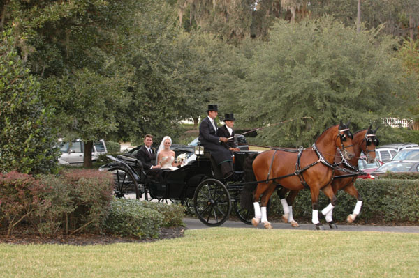wedding.2- 067