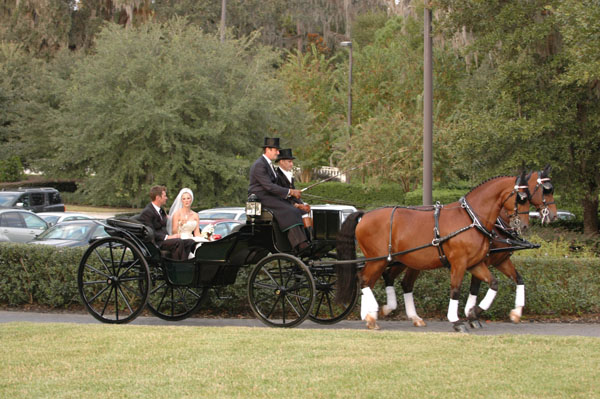 wedding.2- 068