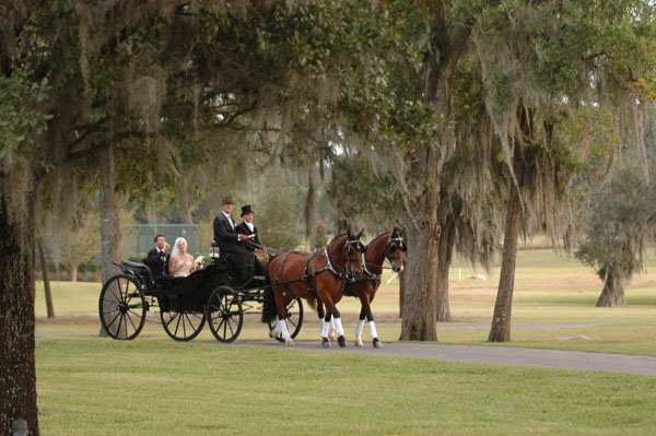 wedding.2- 073