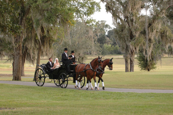 wedding.2- 074