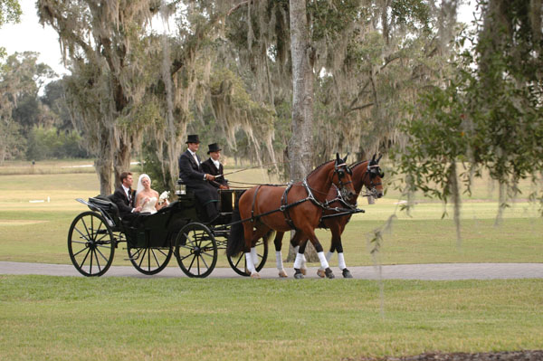 wedding.2- 075