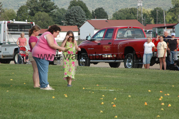NH07 ducks- 010