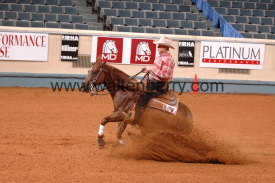 390 NR06p1D.1,1- 019