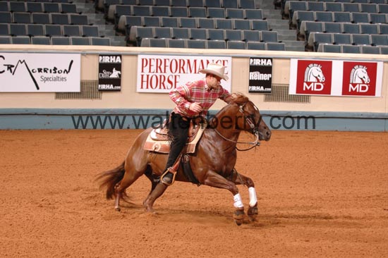 390 NR06p1D.1,1- 020