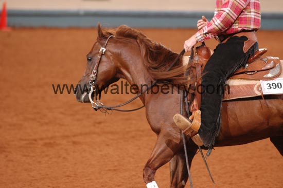 390 NR06p1D.1,1- 025