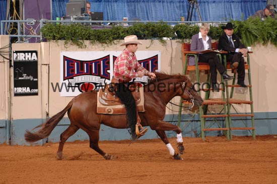 390 NR06p1D.1,1- 026