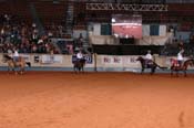 us team NR06p25,2- 003
