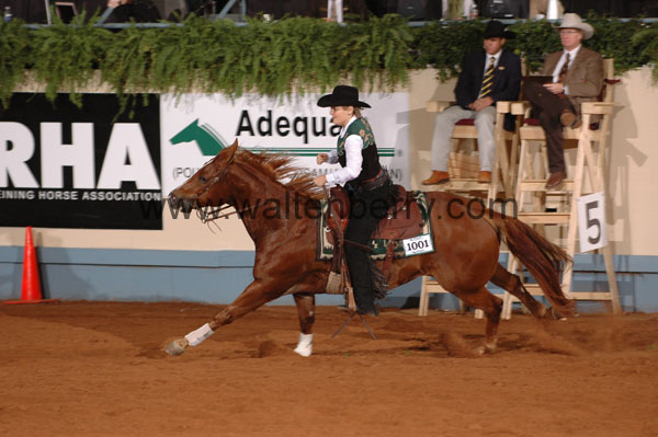 1001 NR08p21.2 - 077