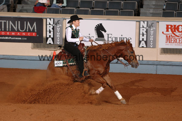 1001 NR08p21.2 - 083