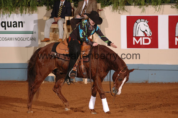 1005 NR08p21.2 - 019