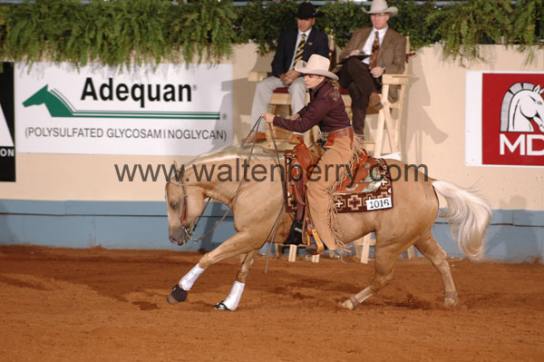 1016 NR08p21.1 - 190