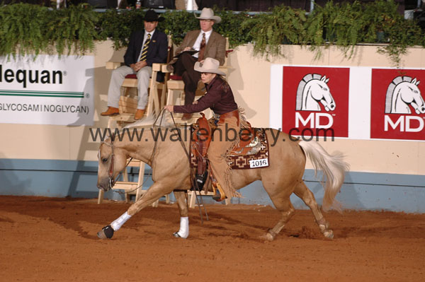 1016 NR08p21.1 - 193