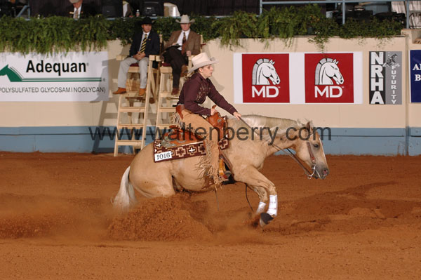 1016 NR08p21.1 - 195