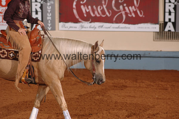 1016 NR08p21.1 - 198